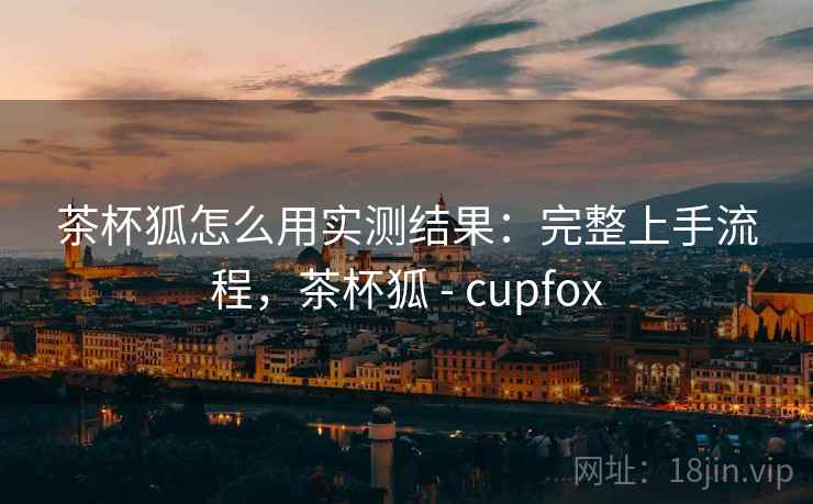 茶杯狐怎么用实测结果：完整上手流程，茶杯狐 - cupfox
