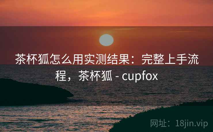 茶杯狐怎么用实测结果:完整上手流程,茶杯狐 - cupfox 茶杯狐怎么用实测结果:完整上手流程,茶杯狐 - cupfox