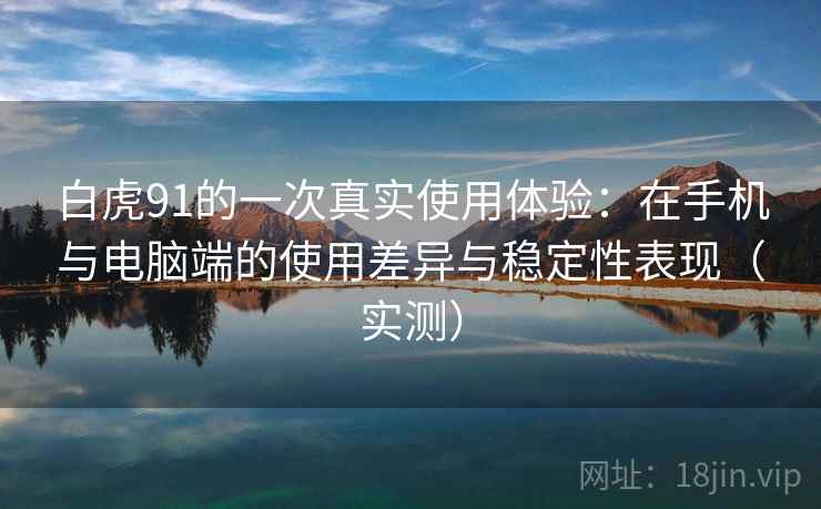 白虎91的一次真实使用体验:在手机与电脑端的使用差异与稳定性表现(实测) 白虎91的一次真实使用体验:在手机与电脑端的使用差异与稳定性表现(实测)
