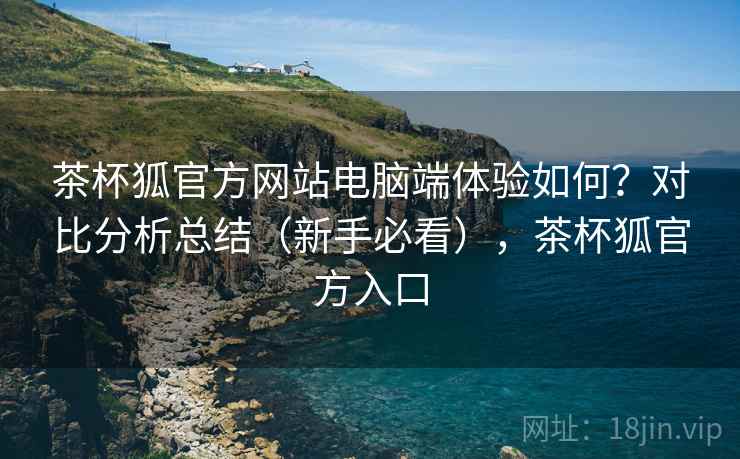 茶杯狐官方网站电脑端体验如何？对比分析总结（新手必看），茶杯狐官方入口